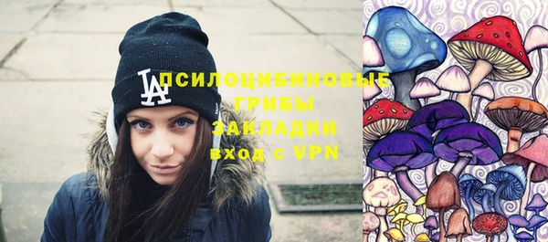 стаф Кулебаки