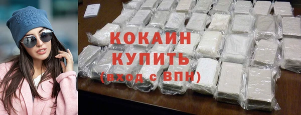 стаф Кулебаки