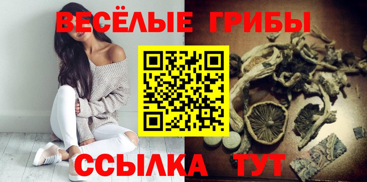 Псилоцибиновые грибы Psilocybine cubensis  Малоярославец  Псилоцибиновые грибы MAGIC MUSHROOMS 