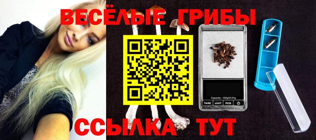 Галлюциногенные грибы MAGIC MUSHROOMS Малоярославец