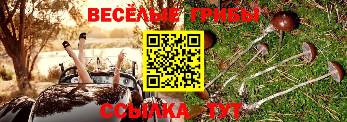 Галлюциногенные грибы прущие грибы  Вход с VPN  Малоярославец 