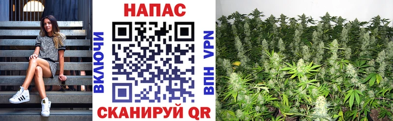 наркошоп  Малоярославец  Бошки Шишки White Widow 