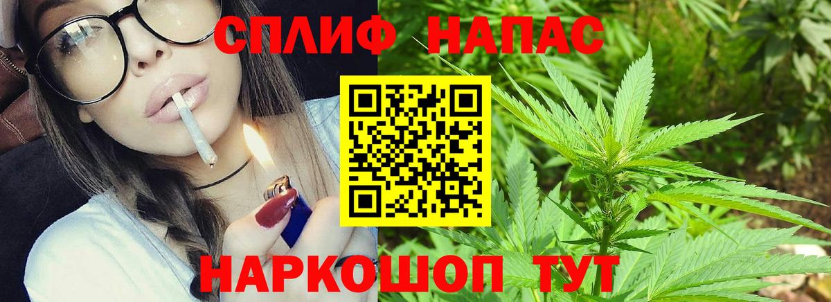 Конопля VHQ  Каннабис Ganja  Малоярославец  Каннабис семена 
